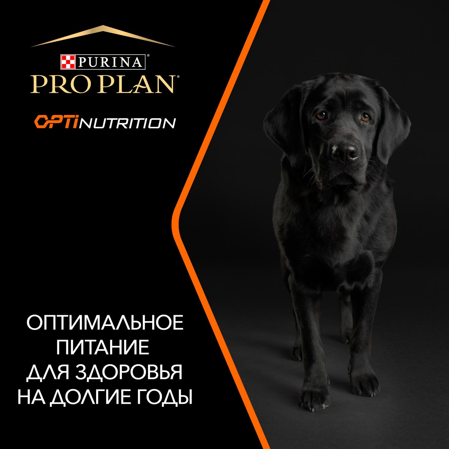 Сухой корм для собак PRO PLAN 3 кг курица (полнорационный) - фото 6