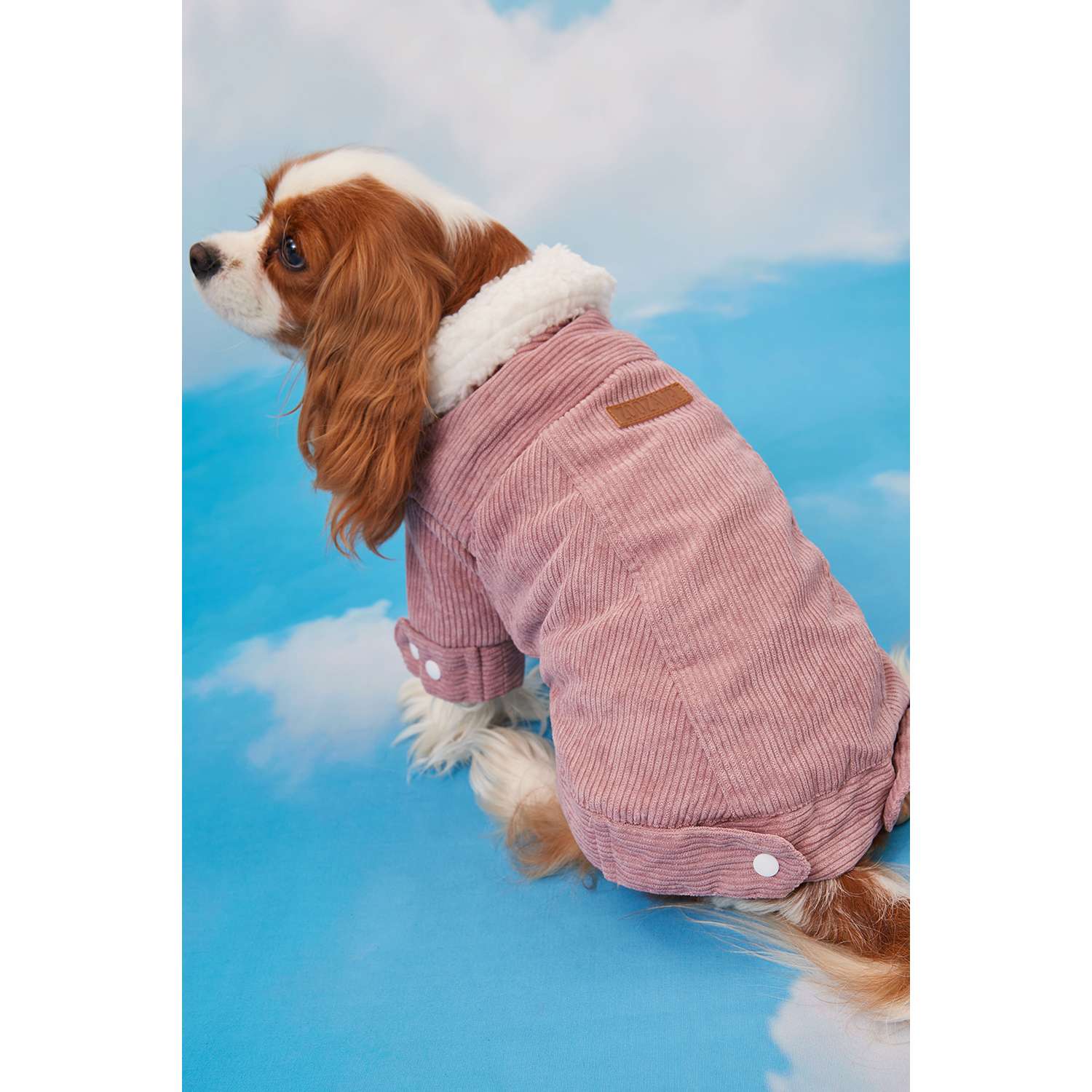 Куртка для собак Зоозавр розовая 25 - фото 16