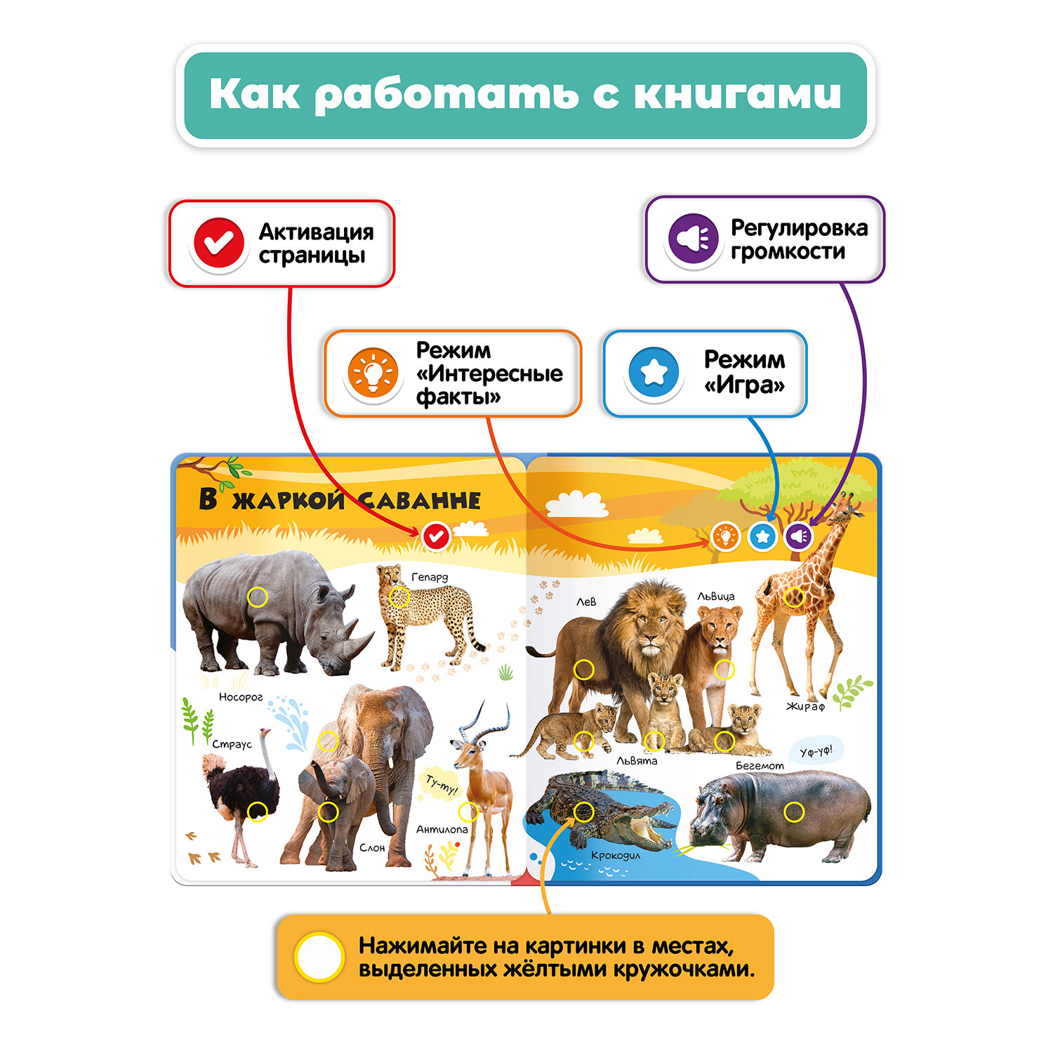 Комплект говорящих книжек BertToys Нажималки: Животные + Транспорт - фото 5