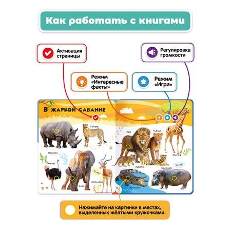 Комплект говорящих книжек BertToys Нажималки: Животные + Транспорт