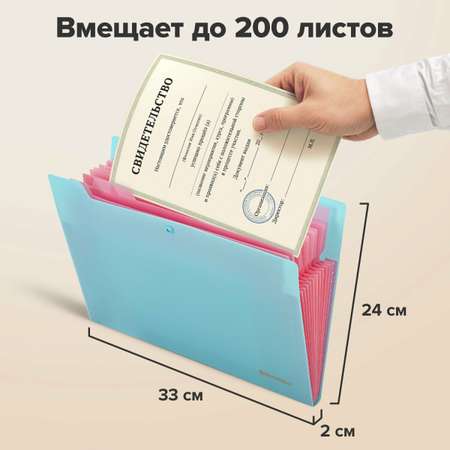 Папка-органайзер Brauberg А4