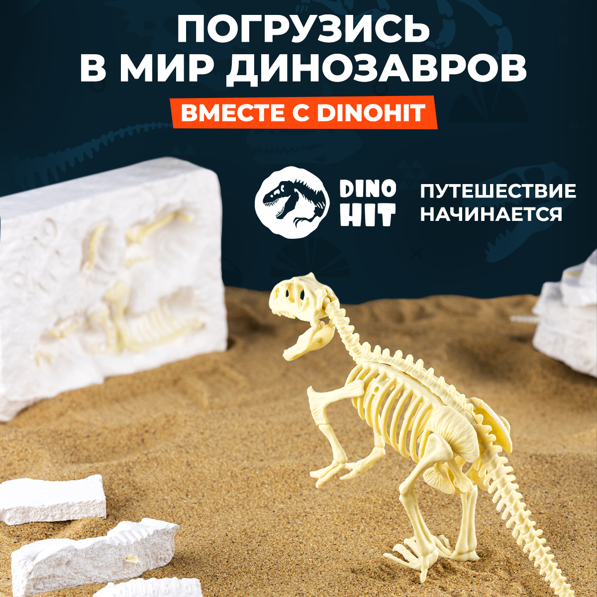 Раскопки DINOHIT Тираннозавра - фото 8