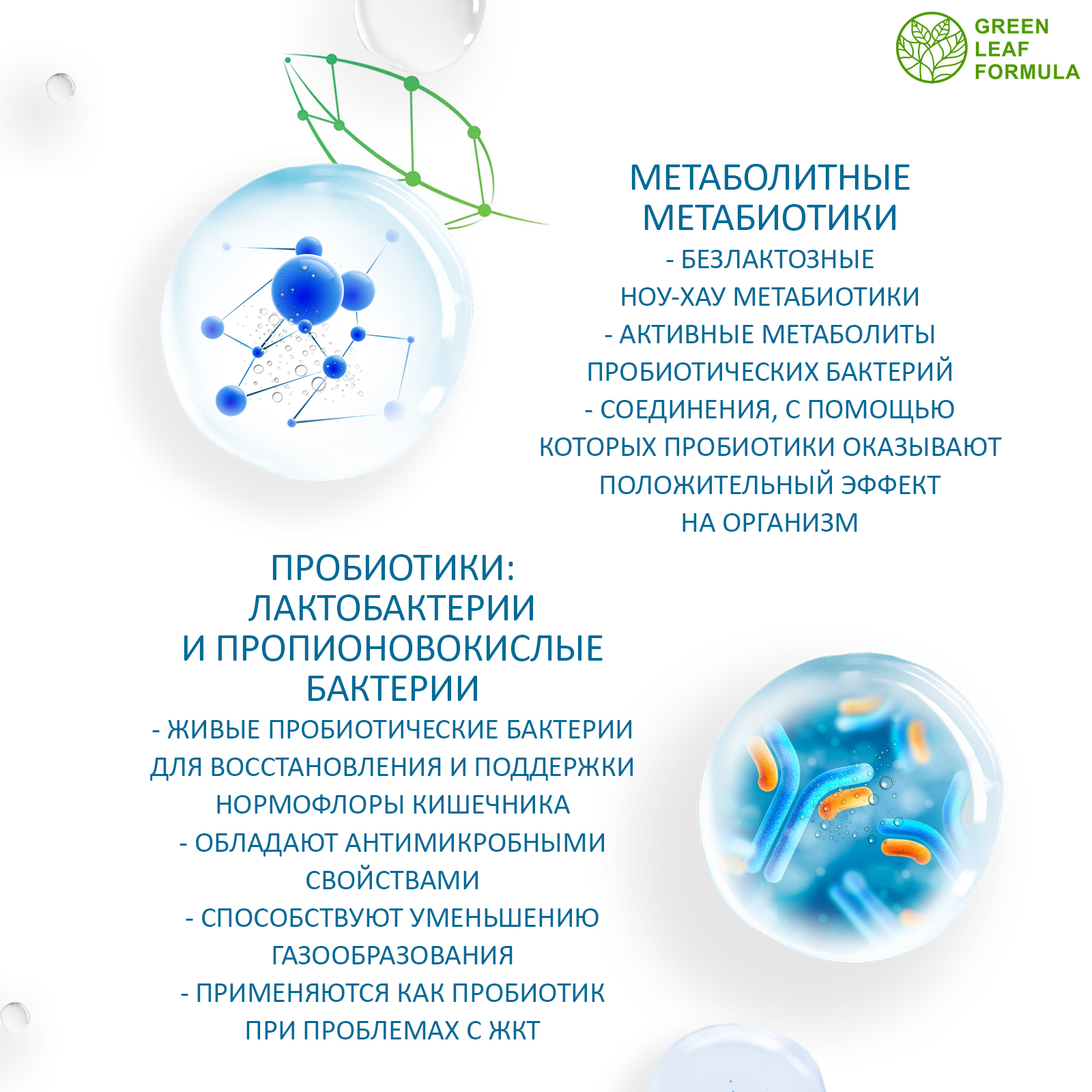 Метабиотик с пробиотиками и пребиотиками Green Leaf Formula для микрофлоры кишечника - фото 4