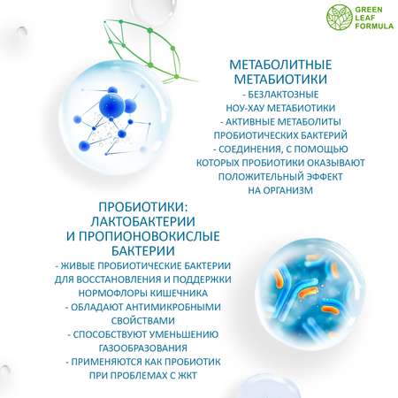 Метабиотик с пробиотиками и пребиотиками Green Leaf Formula для микрофлоры кишечника