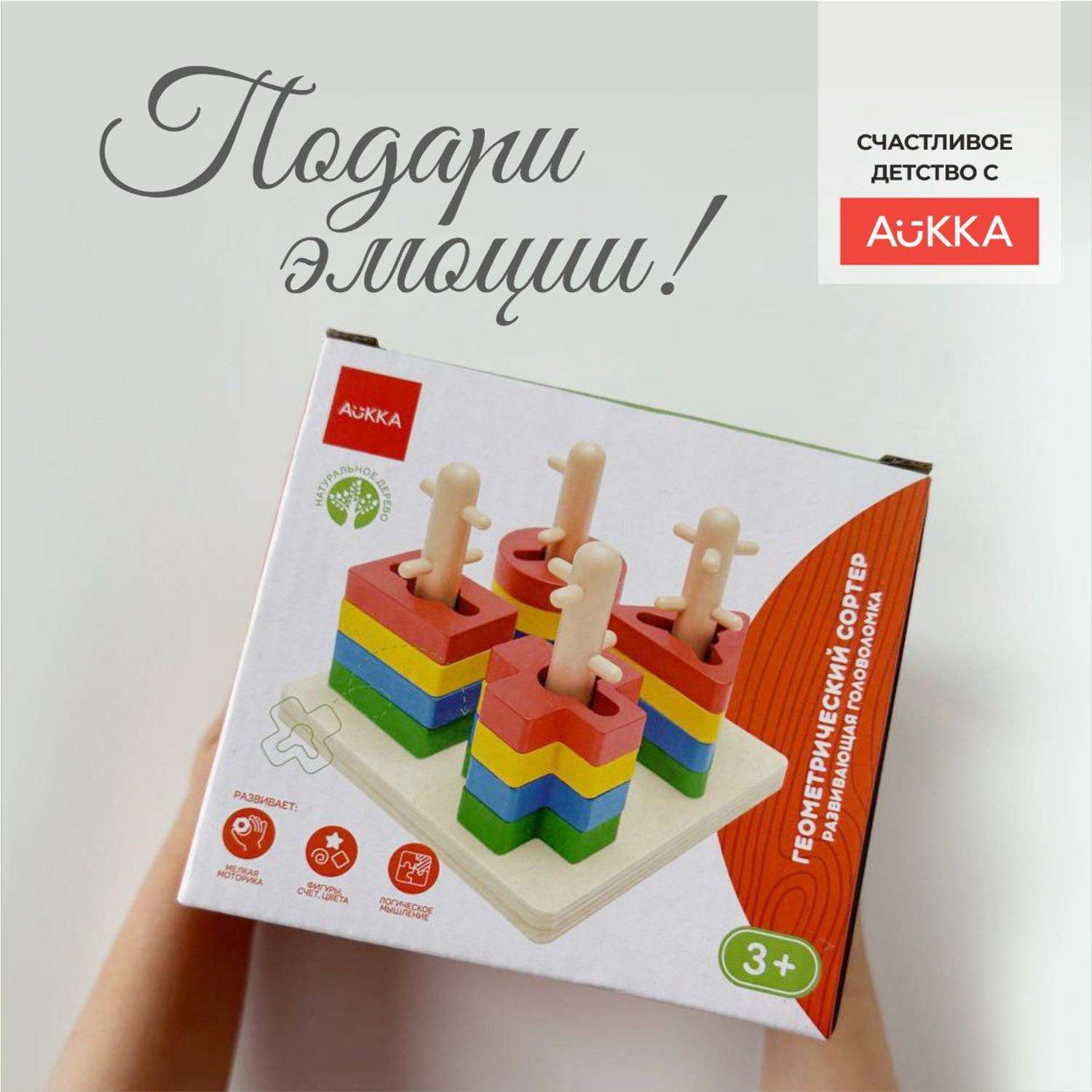 Развивающая детская игра AUKKA Сортер деревянный по методике Монтессори - фото 3