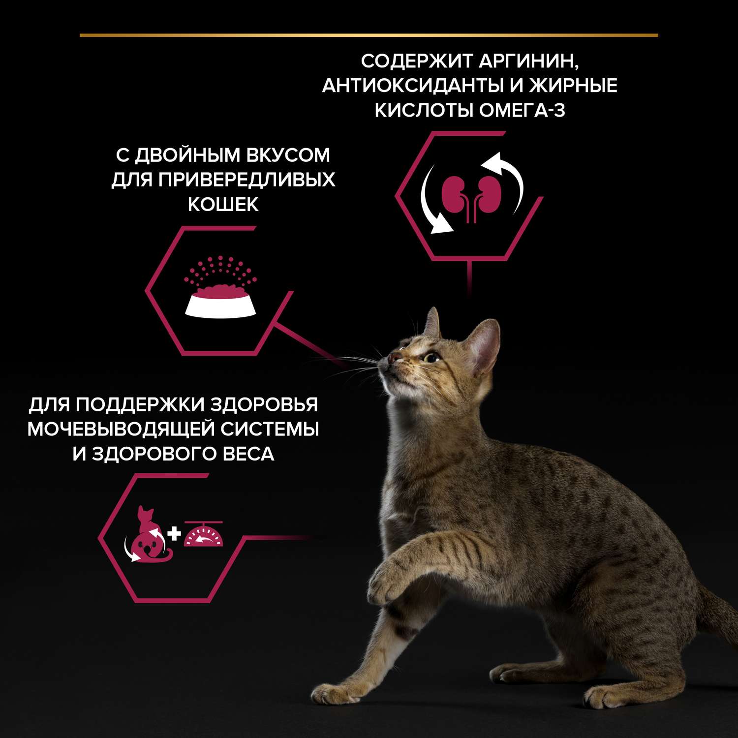 Корм для кошек PRO PLAN стерилизованных форель и треска 10кг - фото 5