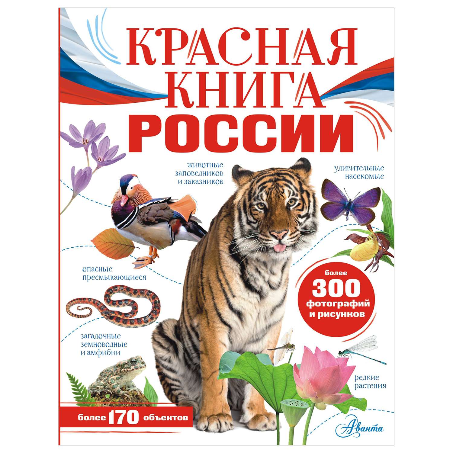 Энциклопедия Красная книга России купить по цене 680 ₽ в интернет-магазине  Детский мир