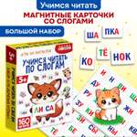 Магнит в коробке Дрофа-Медиа Учимся читать по слогам