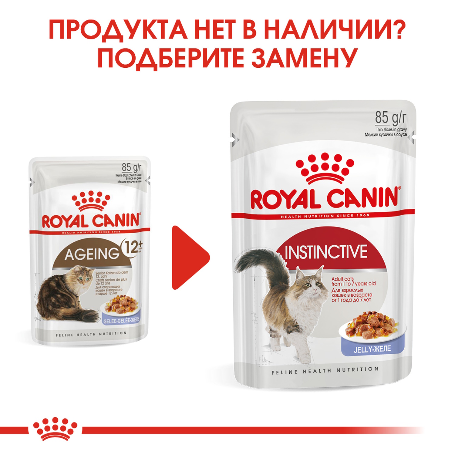 Корм влажный для пожилых кошек ROYAL CANIN Ageing 85г желе пауч - фото 6