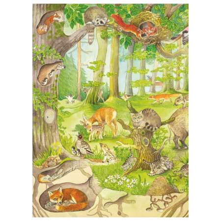 Книга Эксмо Животные и их детеныши иллюстрации Кристины Хенкель