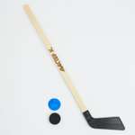 Клюшка Sima-Land для игры в хоккей «Мастер К» набор: клюшка 80 см шайба 5.5х1.5 см мяч d-7 см