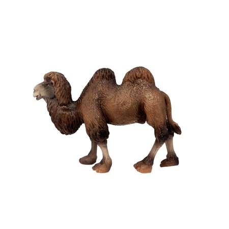 Фигурка животного Детское Время Двугорбый верблюд породы Бактриан