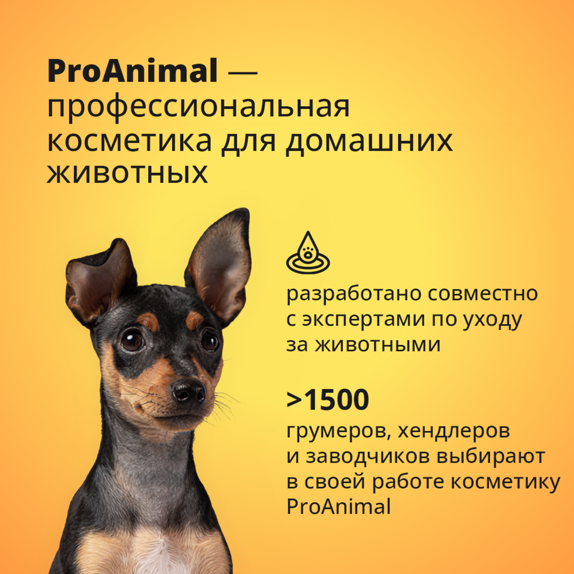 Шампунь с ароматом лимон-лайм ProAnimal универсальный домашний увлажняющий для собак - фото 3