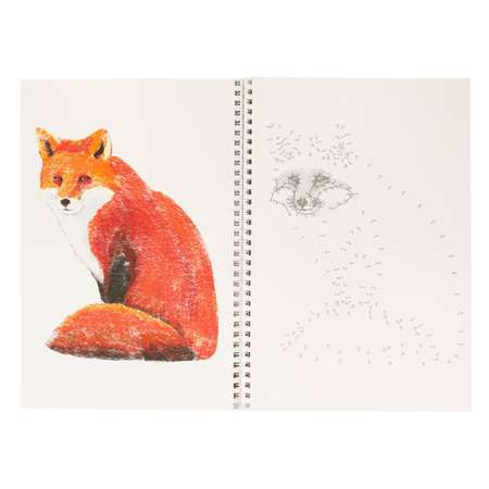 Альбом для рисования Prof-Press Рисуем от точки к точке Животные 32 листа