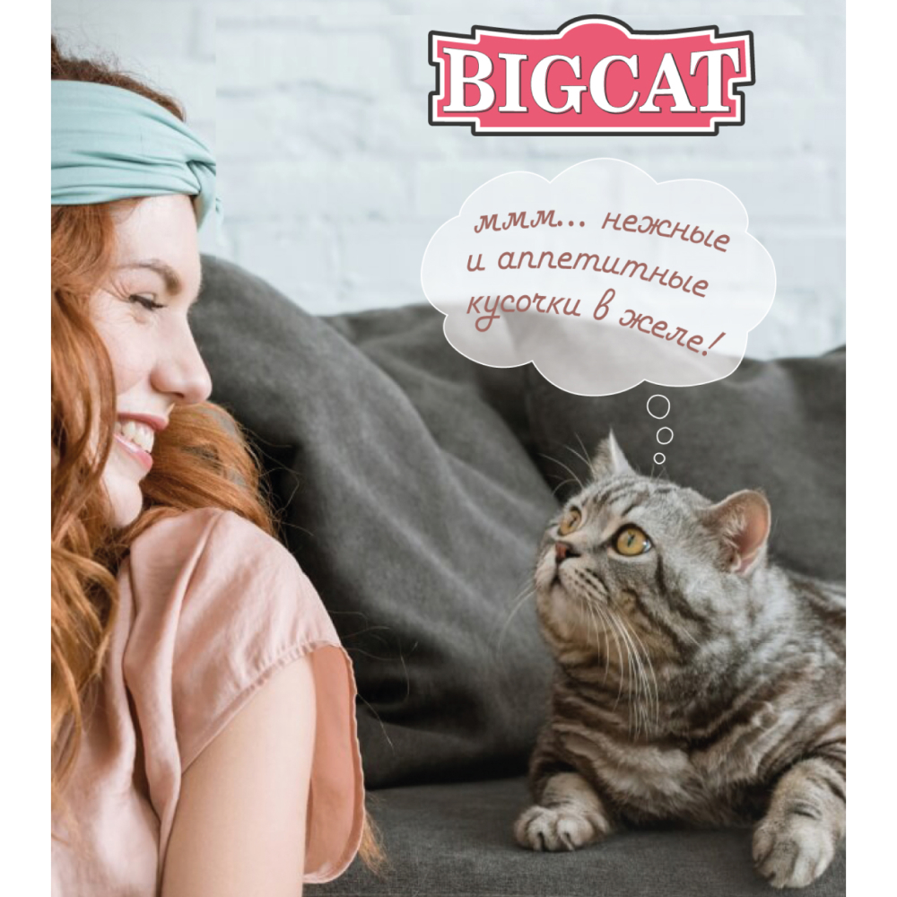 Корм влажный Зоогурман Big Cat Мясное ассорти Кусочки в желе жестяная банка 350 гр х 12 шт. - фото 5