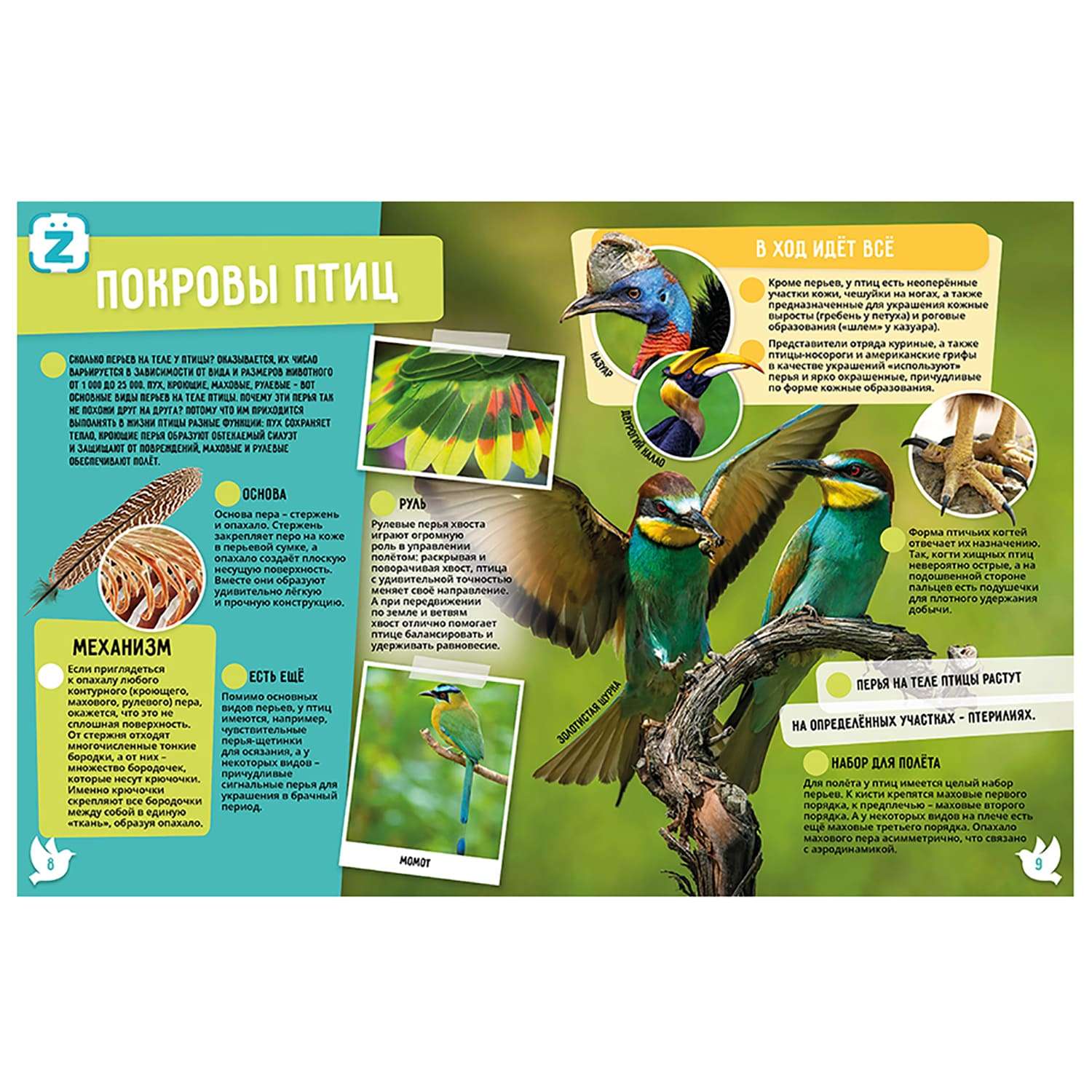 Книга KidZlab Энциклопедия в дополненной реальности «Птицы. 250 невероятных фактов» - фото 2