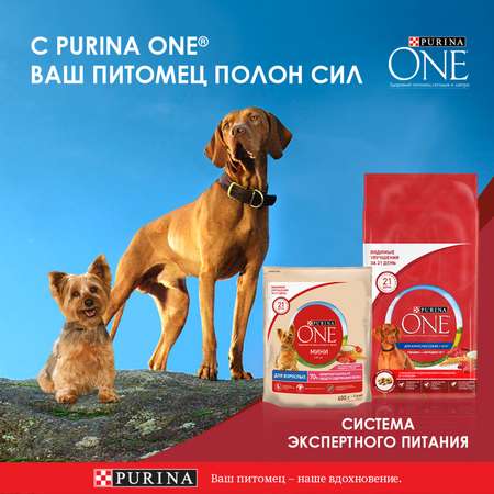 Корм для собак Purina One средних и крупных пород с ягненком и рисом сухой 3.8кг