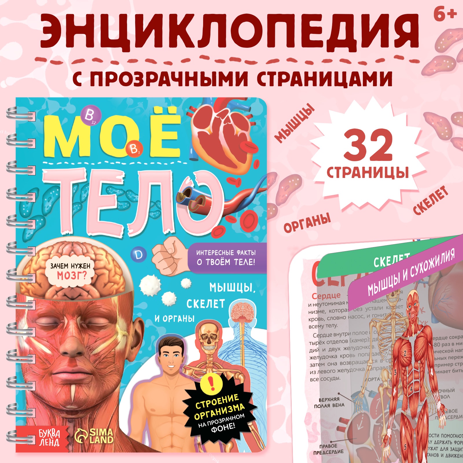 Книга Буква-ленд с прозрачными страницами «Моё тело» 32 страницы - фото 1