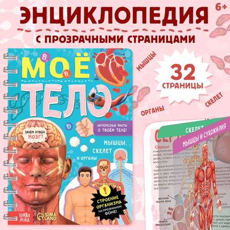 Книга Буква-ленд с прозрачными страницами «Моё тело» 32 страницы