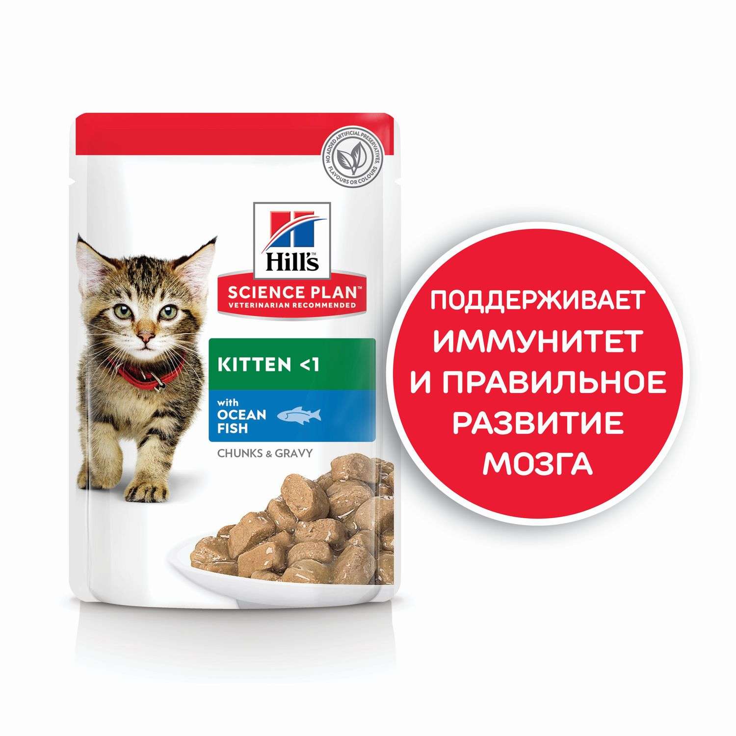 Hills science plan для котят. Хиллс паучи для котят. Кошачий корм Хиллс для котят. Хиллс влажный корм для котят. Влажный корм Hill's Science Plan Kitten для котят с курицей.