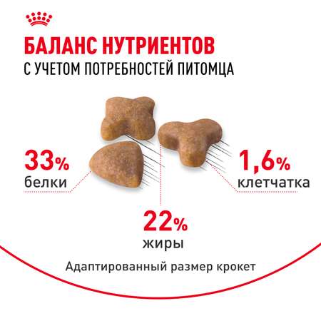 Корм сухой для кошек ROYAL CANIN Sensible 33 400г с чувствительной пищеварительной системой