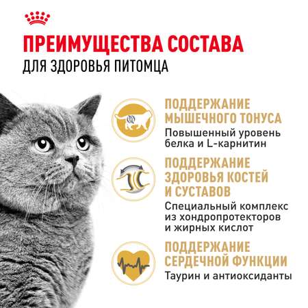 Сухой корм для кошек ROYAL CANIN 0.4 кг (полнорационный)