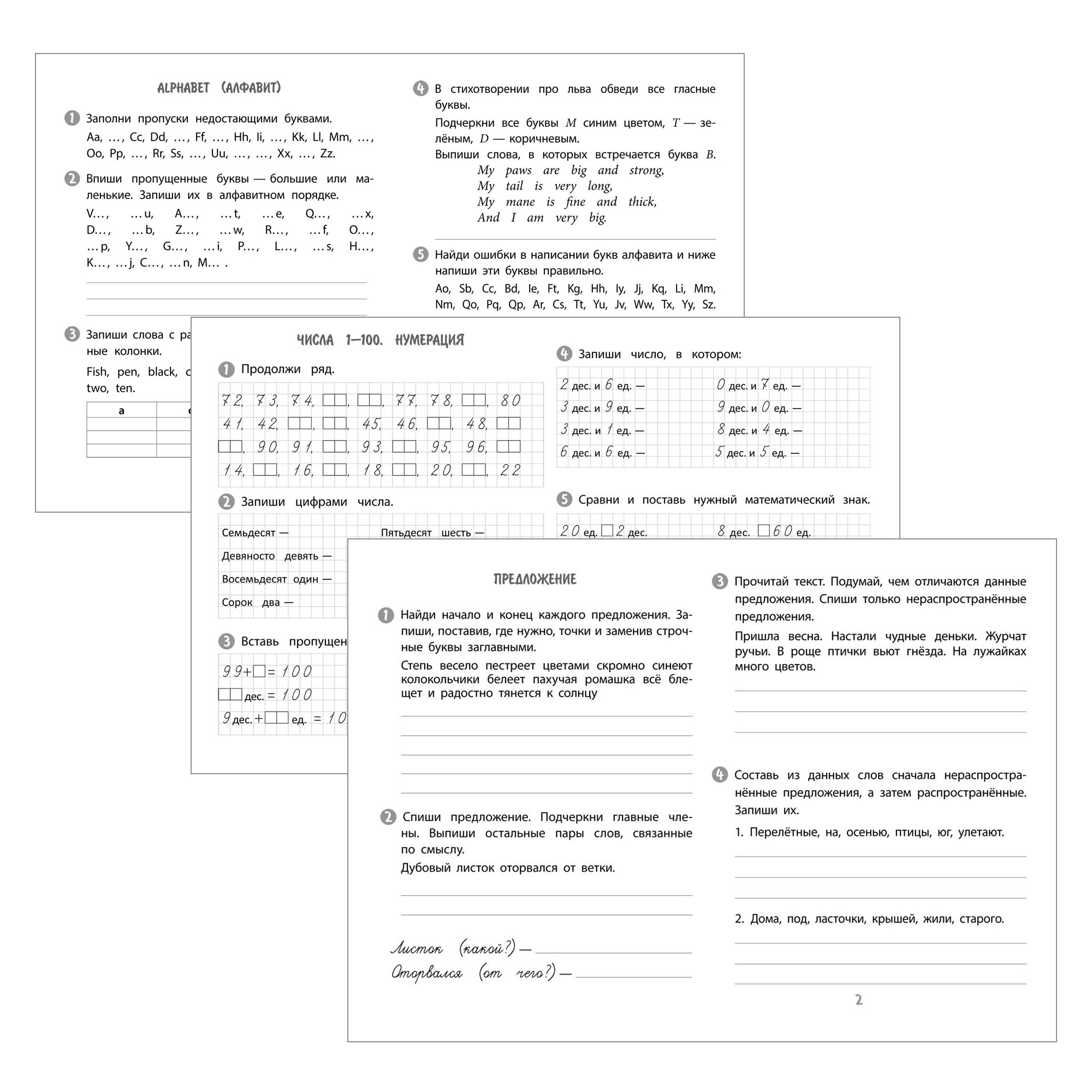Школьный тренажер Учитель Математика Русский и английский язык 2 класс  Набор из 3-х тетрадей купить по цене 199 ₽ в интернет-магазине Детский мир