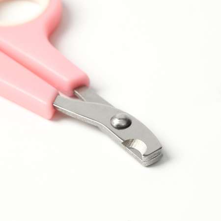 Набор по уходу за когтями Пижон ножницы-когтерезы отверстие 6 мм и пилка розовый с белым
