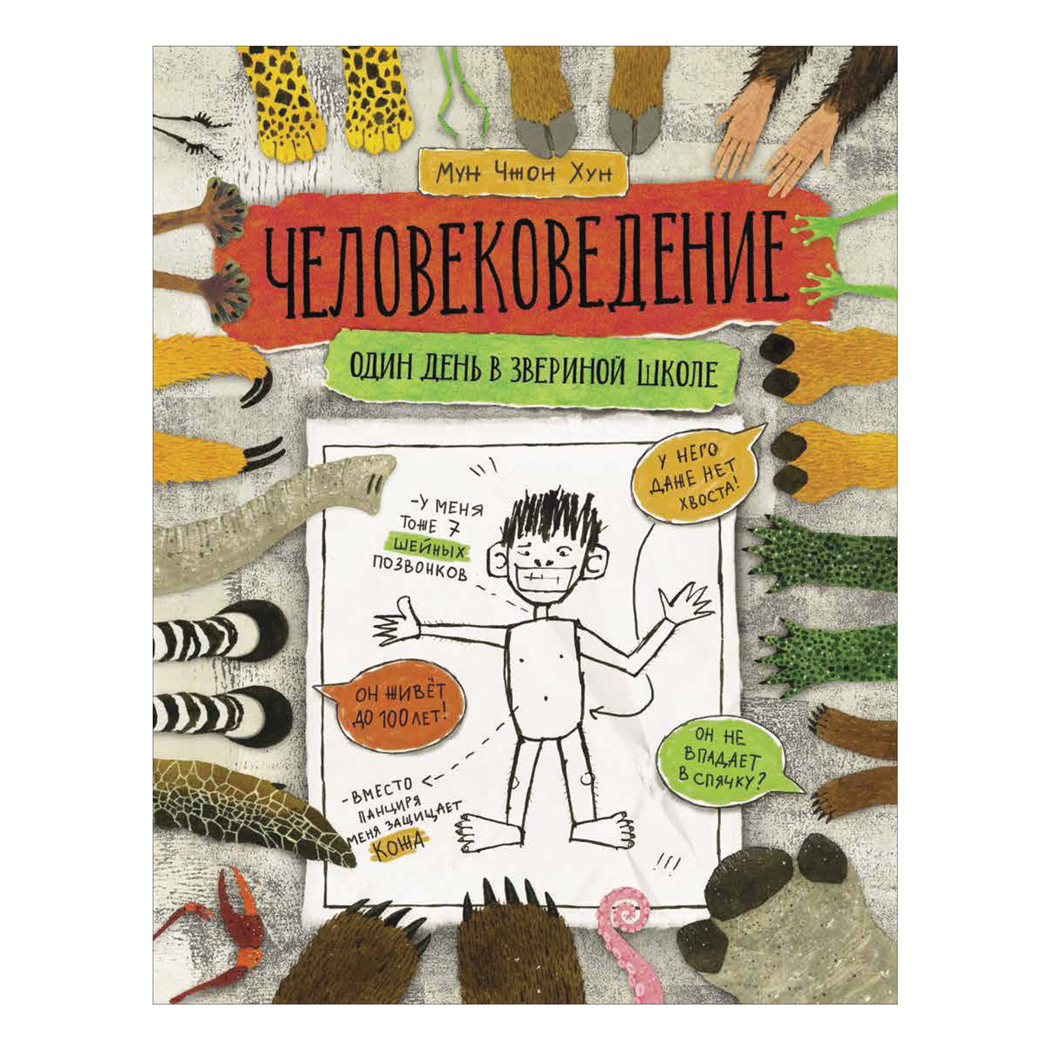 Книга Росмэн Человековедение Один день в звериной школе купить по цене 9 ₽  в интернет-магазине Детский мир