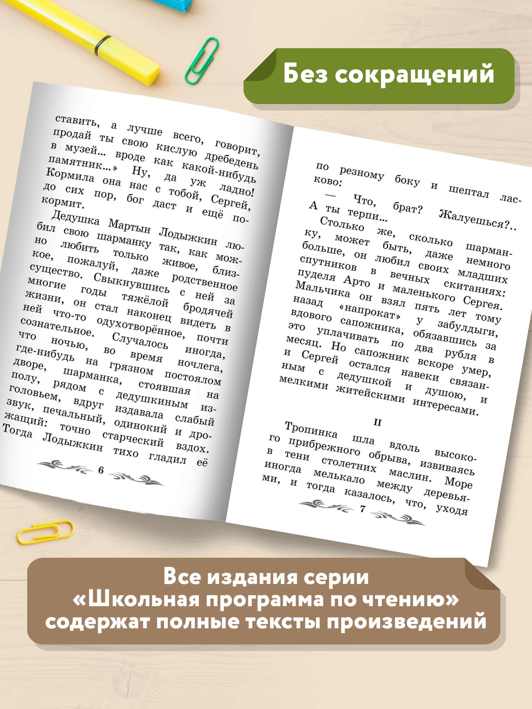 Книга ТД Феникс Белый пудель. Школьная программа по чтению - фото 4