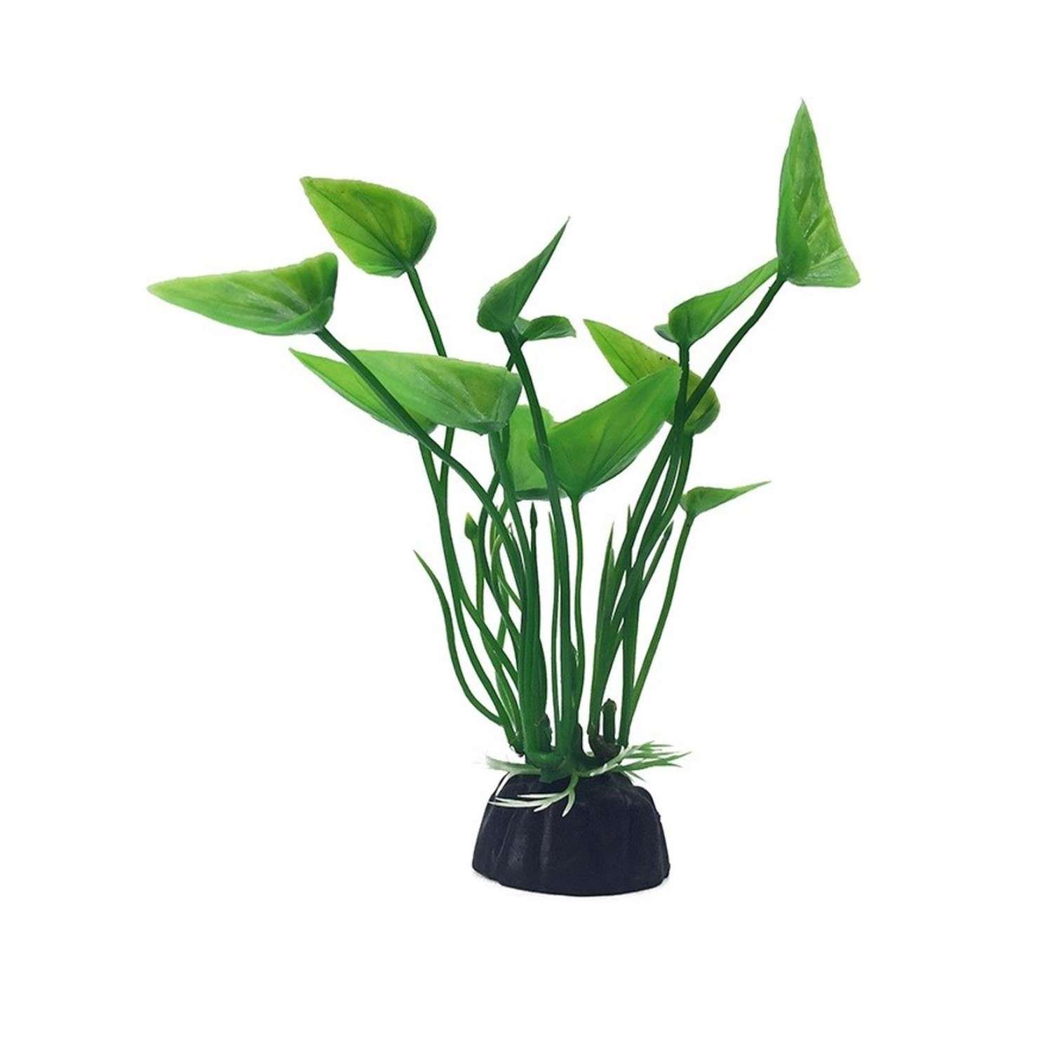 Аквариумное растение Rabizy водоросли 3х10 см - фото 2