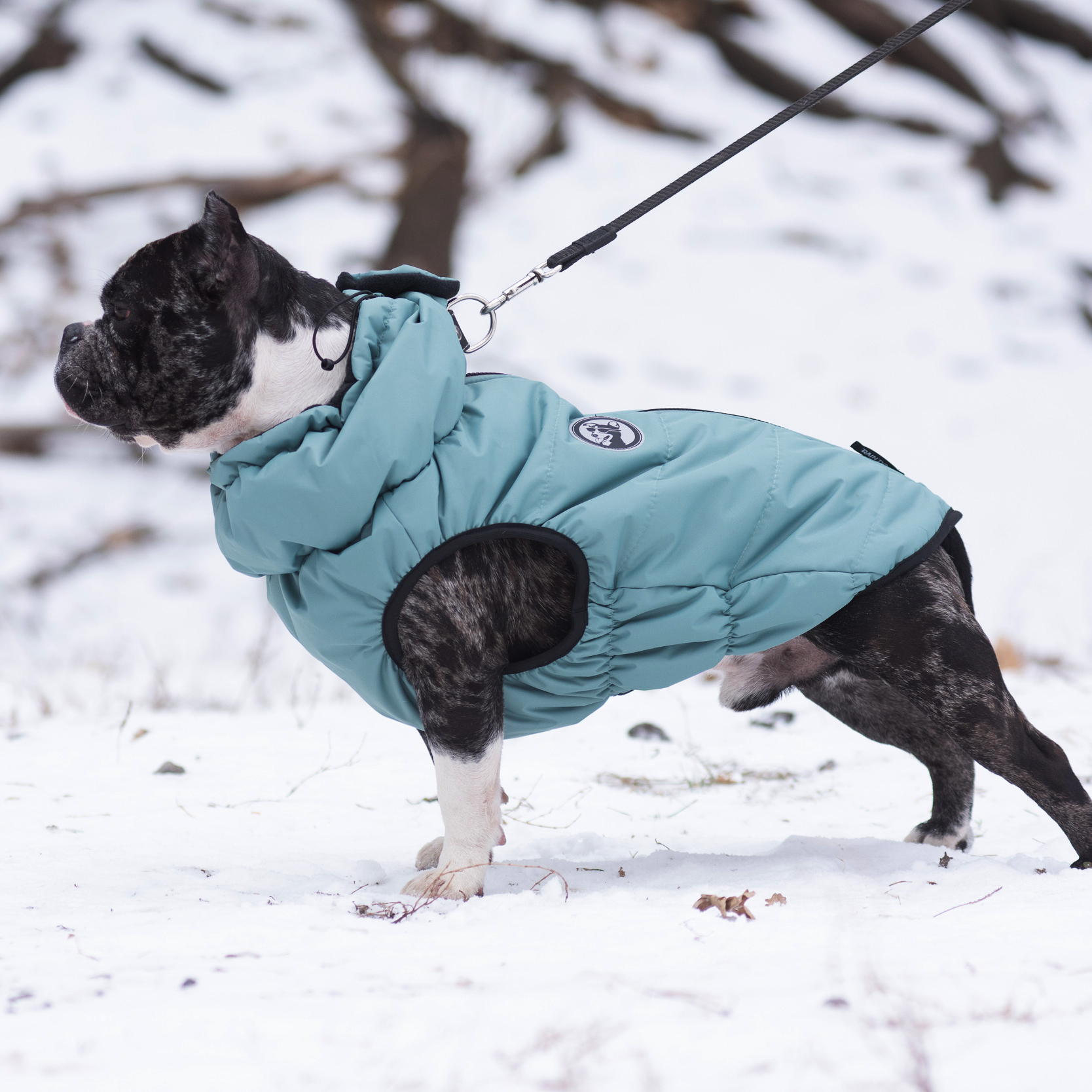 Жилет для собак Rain Dog - фото 3