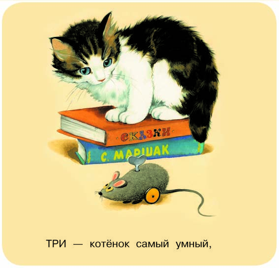 Книга АСТ Котята - фото 4