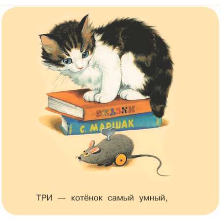 Книга АСТ первая книжка раскладушка Котята