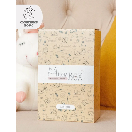 Подарочный бокс для девочки iLikeGift Milota Box mini собачка