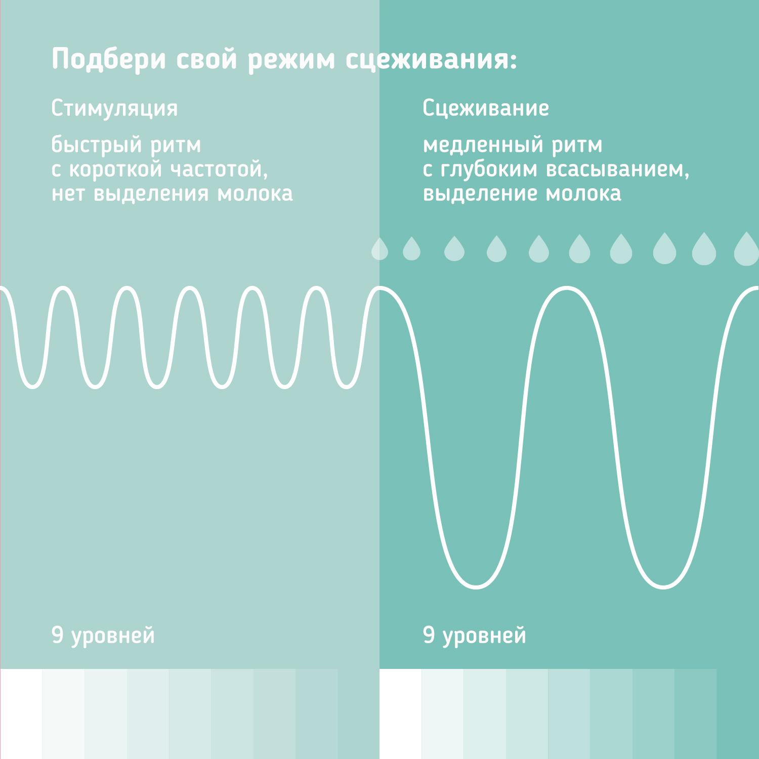 Электронный молокоотсос Zabota2 двухфазный с бутылочкой для кормления 9 уровней - фото 16