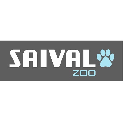 Saival 