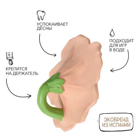 Прорезыватель грызунок OLI and CAROL Iris the Hibiscus из натурального каучука