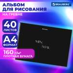 Альбом для рисования Brauberg в школу А4 40 плотных листов 160 г м2