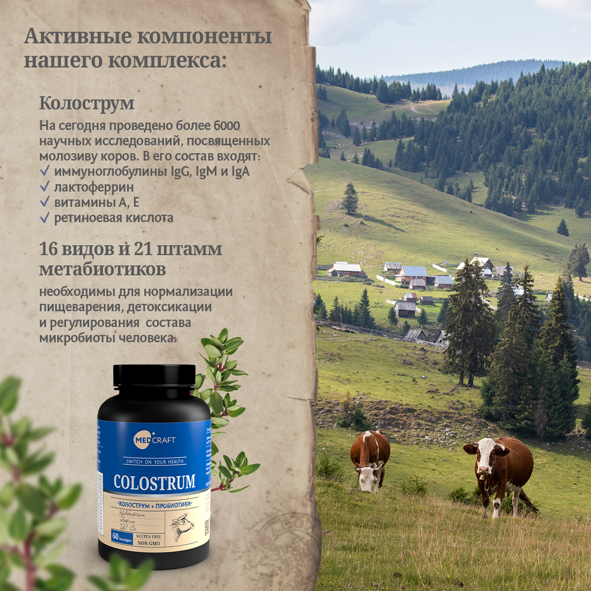 БАД MedCraft Колострум и метабиотик. Colostrum - молозиво для иммунитета - фото 4