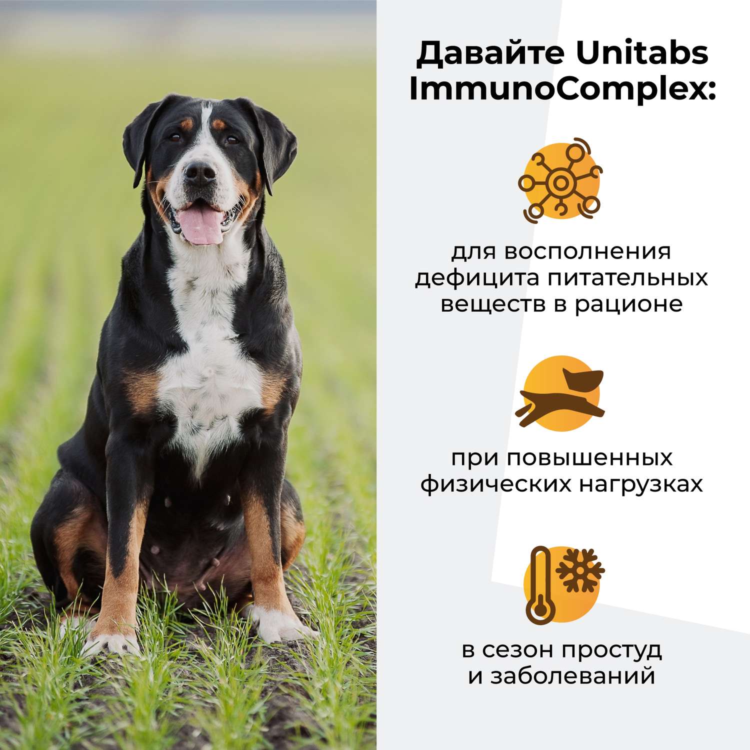 Витамины для собак Unitabs ImmunoComplex с Q10 крупных пород 100таблеток - фото 4
