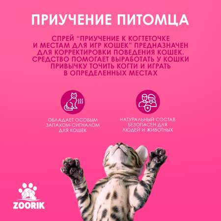 Спрей для кошек ZOORIK приучение к когтеточке 250 мл