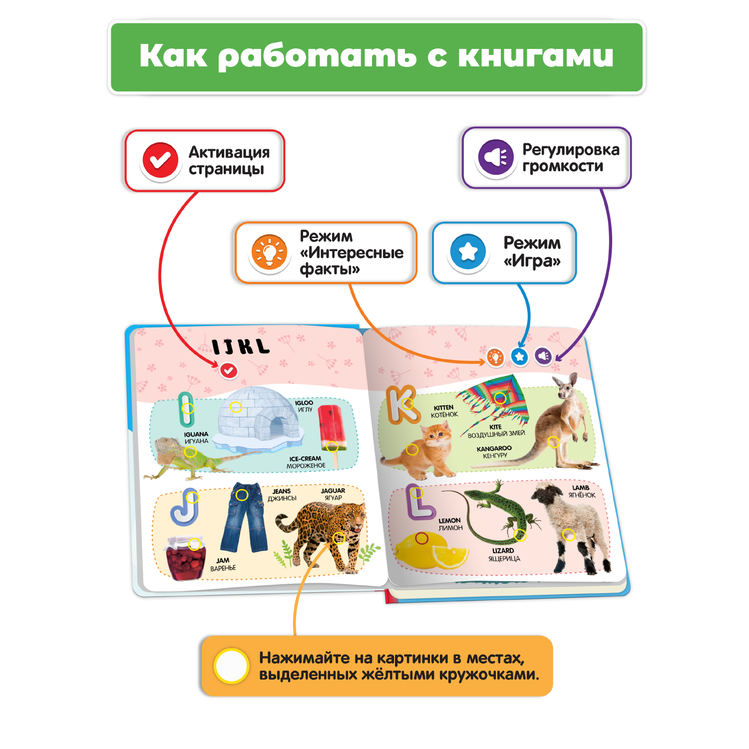 Комплект говорящих книжек BertToys Нажималки: Русский алфавит + Английский алфавит - фото 2