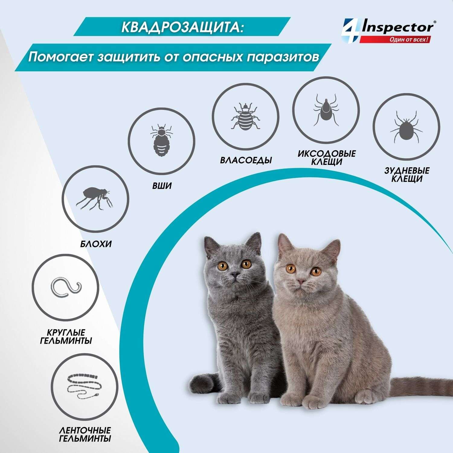 Капли для кошек Inspector Quadro 4-8кг от наружных и внутренних паразитов 0.8мл - фото 4