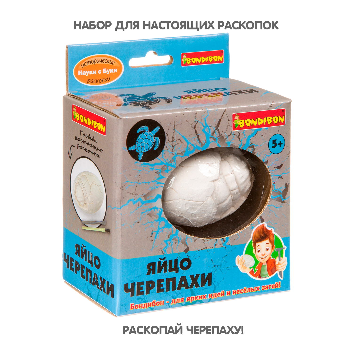 Набор для раскопок BONDIBON Яйцо черепахи купить по цене 510 ₽ в  интернет-магазине Детский мир