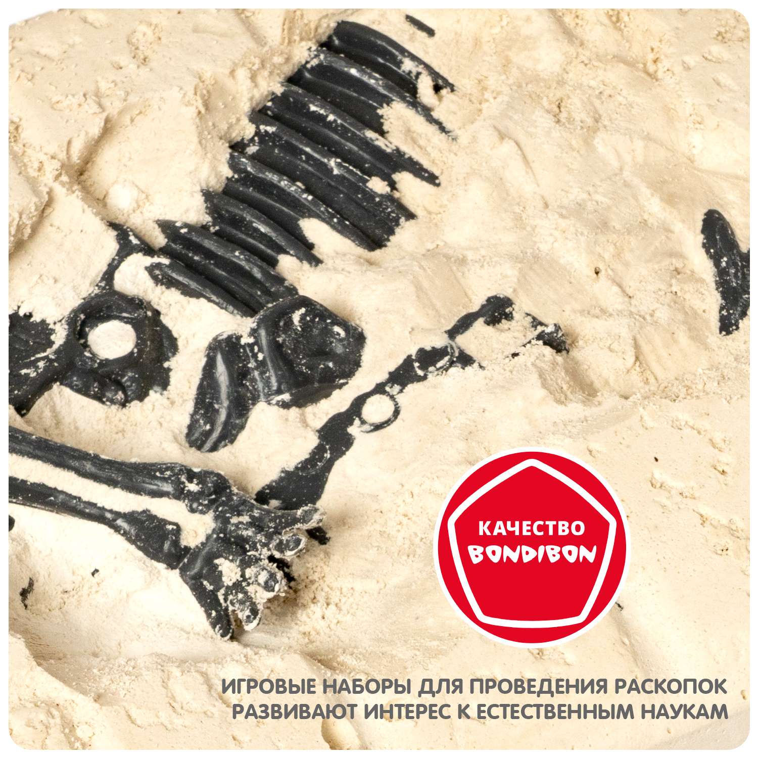 Набор для раскопок BONDIBON динозавр Стегозавр серия Науки с Буки - фото 9
