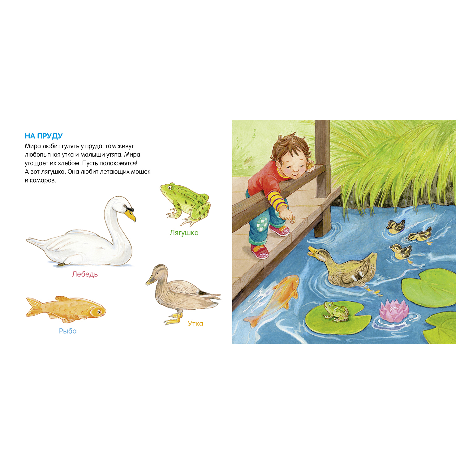 Книга Clever Книжки картонки Я учусь говорить Животные - фото 2