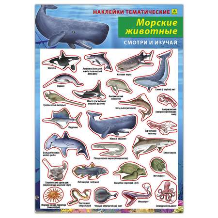 Пазл РУЗ Ко Детский на подложке. Аквариумные рыбки. 36х28 см 63 элемента. Плюс наклейки