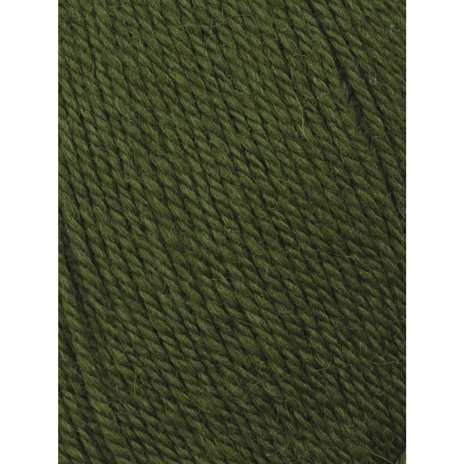Пряжа Astra Premium Эвридика шерстяная 100 г 200 м 15 темно-зеленый 3 мотка - фото 3