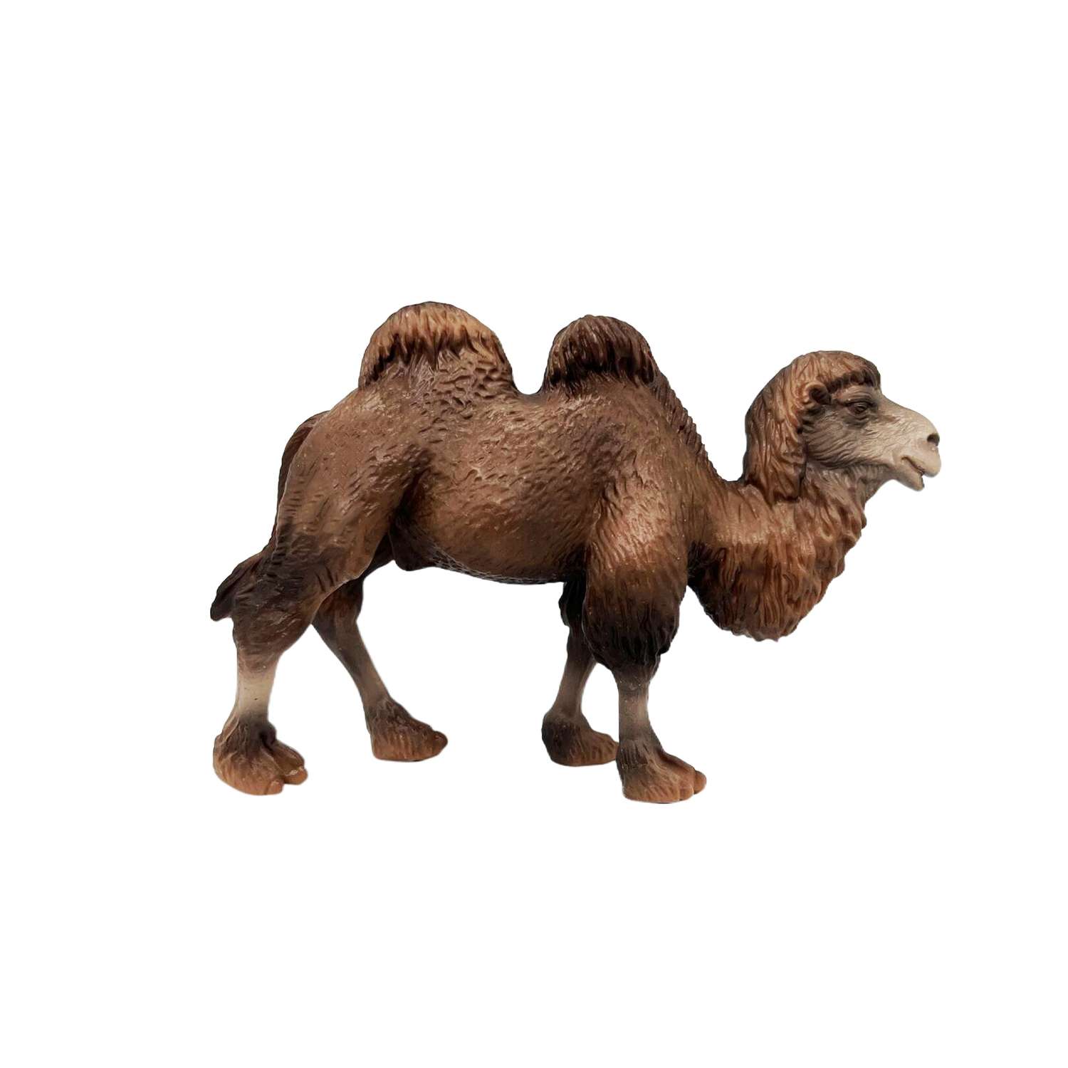 Фигурка животного Детское Время Двугорбый верблюд породы Бактриан - фото 2